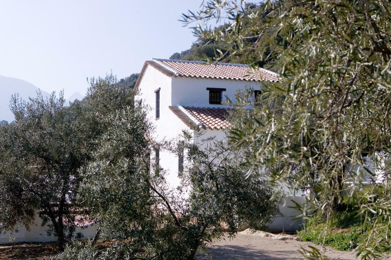La Sutilas Zahara De La Sierra